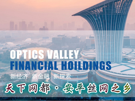 立友斗式提升機(jī)